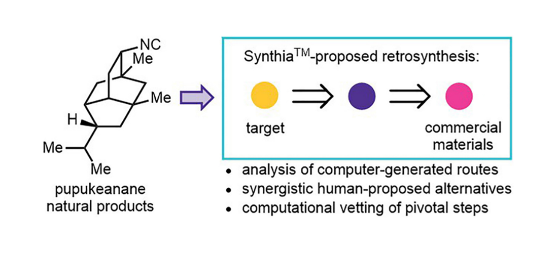 SYTNHIA planned synthesis of pupukeanane from commercial materials